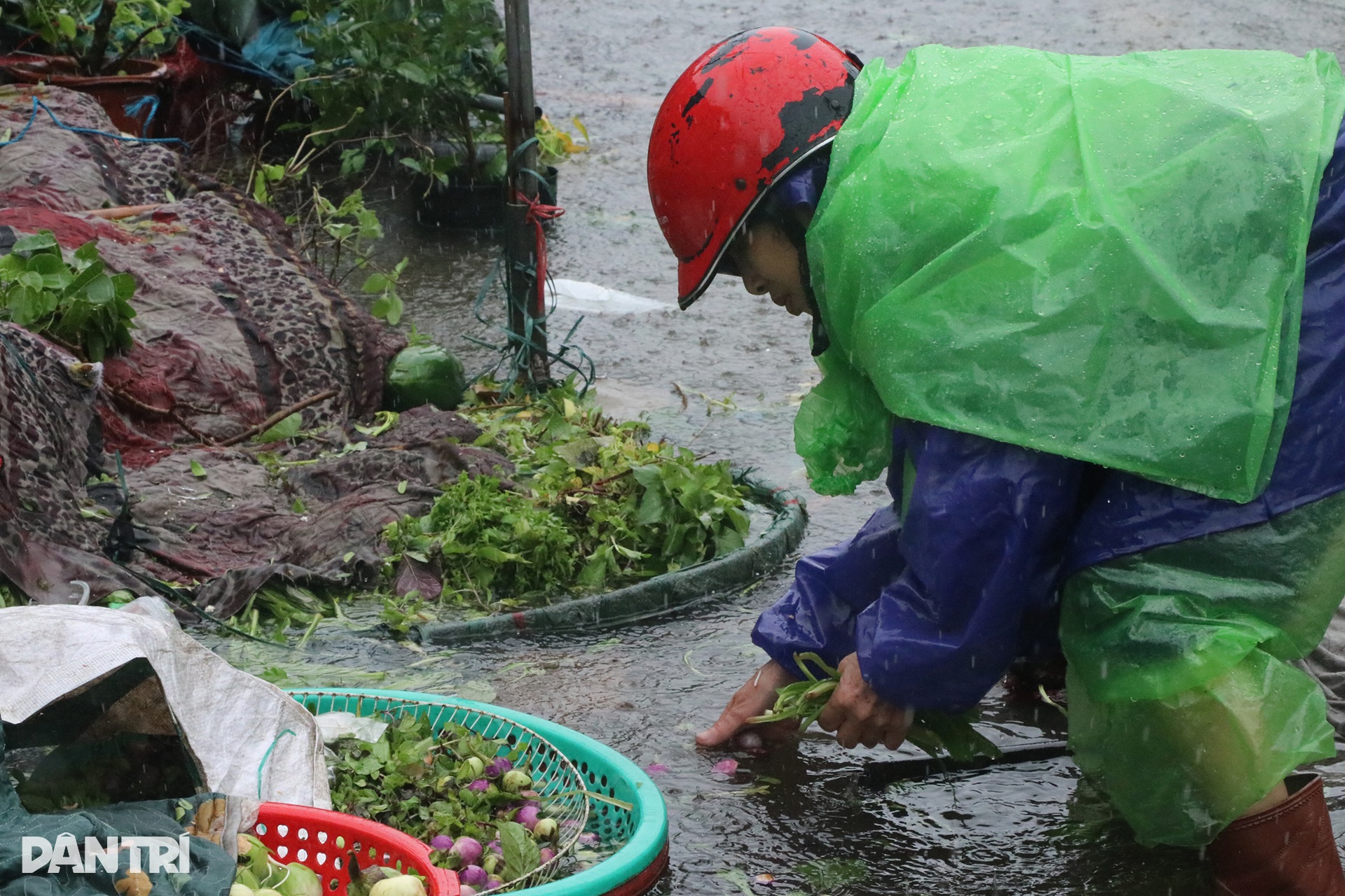 Tiểu thương chợ lớn nhất Nghệ An dầm mình trong nước nhặt từng cọng rau - 5 Tiểu thương chợ lớn nhất Nghệ An dầm mình trong nước nhặt từng cọng rau - 5