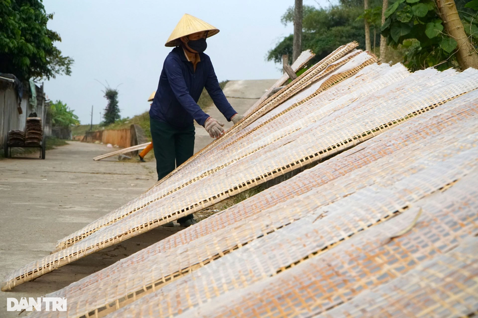 Tráng, quạt hơn 1.000 bánh đa mỗi ngày vẫn không đủ hàng bán Tết - 14 Tráng, quạt hơn 1.000 bánh đa mỗi ngày vẫn không đủ hàng bán Tết - 14