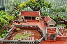 Chàng trai 9X "thu nhỏ" nhà cổ Bắc Bộ qua mô hình tiểu cảnh