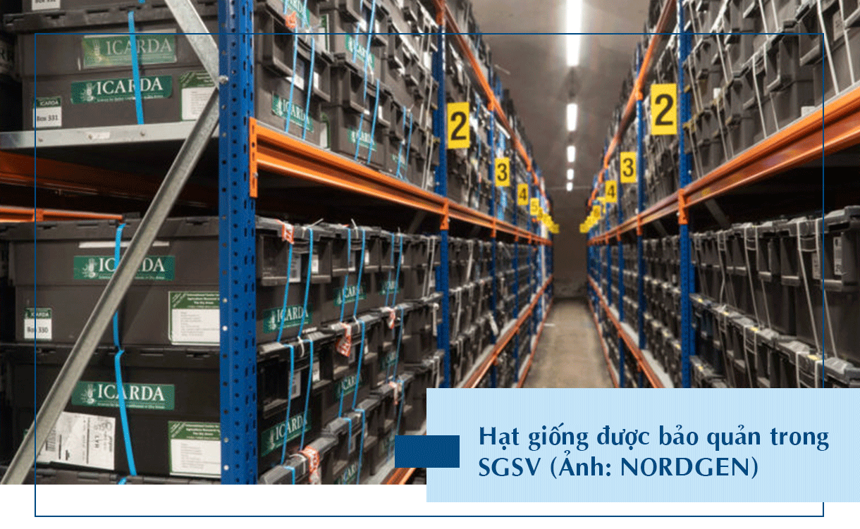 Vì sao căn hầm đặc biệt ở Na Uy được gọi là hầm chống tận thế? - 10 Vì sao căn hầm đặc biệt ở Na Uy được gọi là hầm chống tận thế? - 10