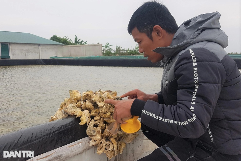 Chàng trai 8X nuôi con nhỏ li ti, thu tiền tỷ mỗi năm - 3 Chàng trai 8X nuôi con nhỏ li ti, thu tiền tỷ mỗi năm - 3
