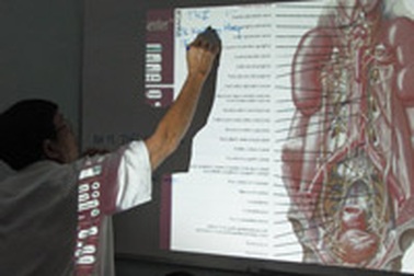 Mất một quả thận sau khi mổ khối u buồng trứng?