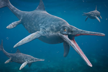 Phát hiện hóa thạch ngư long sẽ khiến khoa học phải viết lại sách giáo khoa