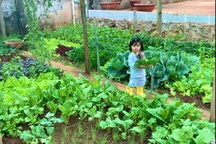 Người phụ nữ ở Đắk Lắk "tậu" hai xe tải đất, làm vườn 140m2 trồng rau sạch