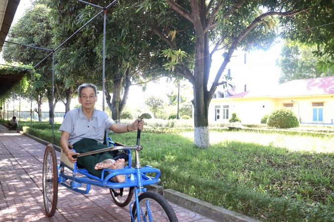 Khuôn viên Trung tâm luôn phủ xanh bóng mát bằng những cây xanh