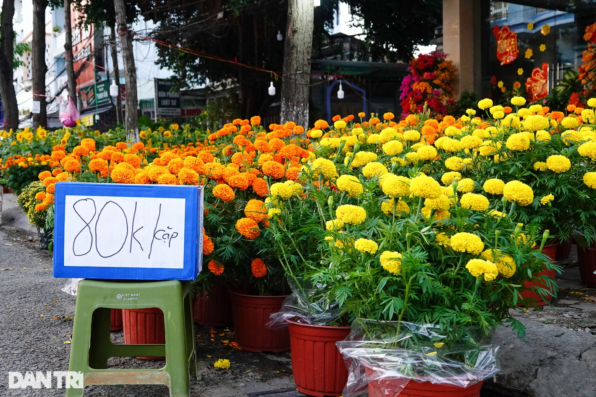Chợ hoa Tết ở Cần Thơ: Giá niêm yết, giảm sâu vẫn bị khách ngó lơ - 7