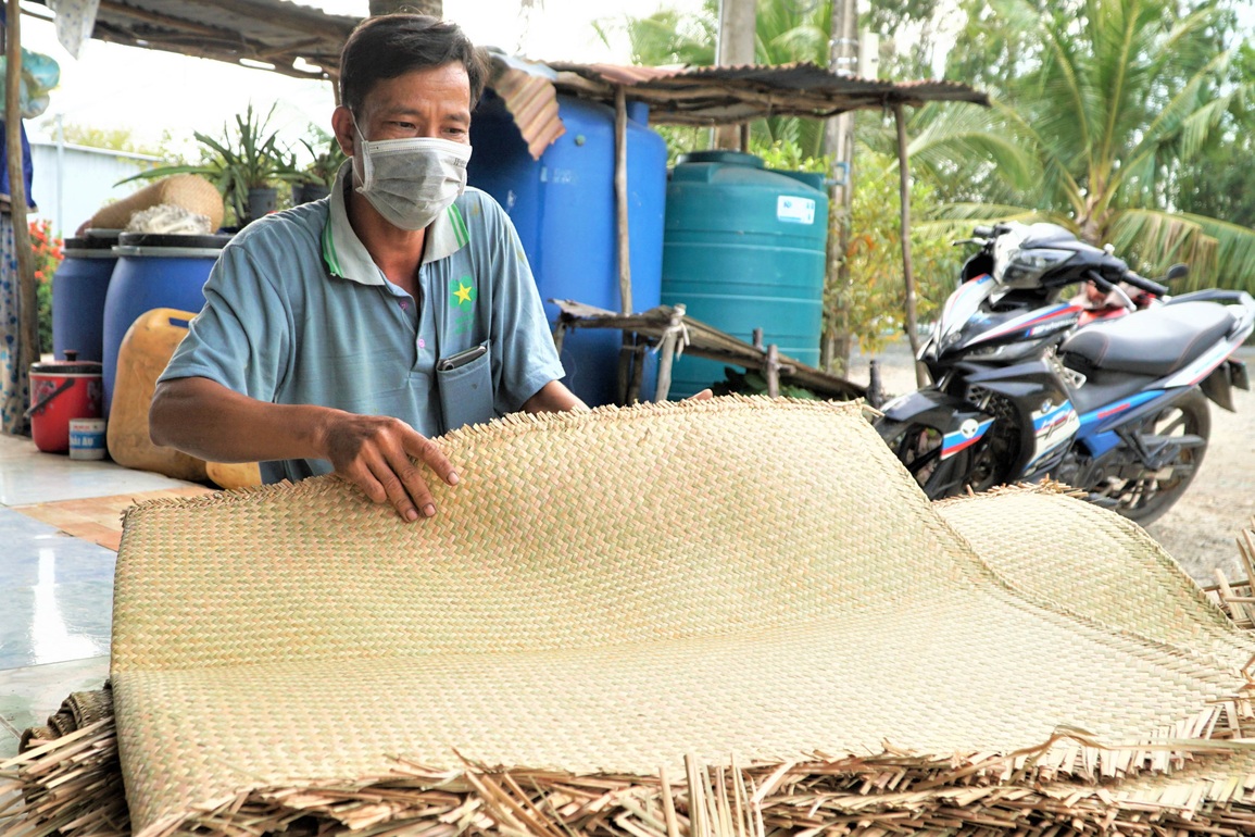 Đưa cỏ bàng nơi rốn phèn xuất ngoại, bỏ túi nửa tỷ đồng mỗi năm - 2