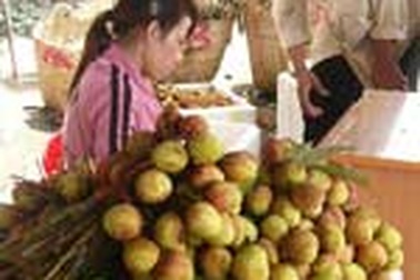 Quả vải miền Bắc ào ạt vào Nam