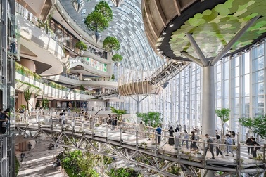 Bản thiết kế trung tâm thương mại với khu rừng xanh mát