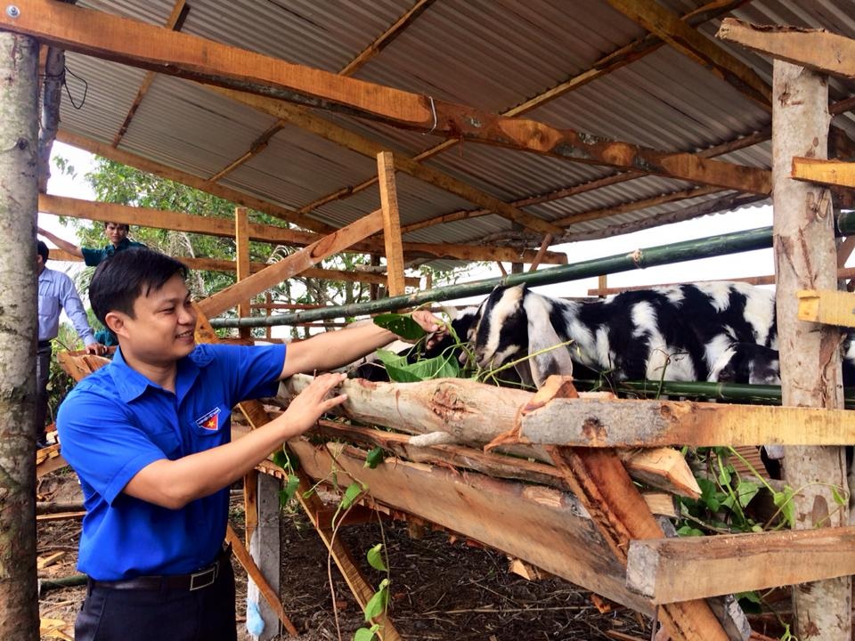 thanh nien vay von 1.jpg thanh nien vay von 1.jpg