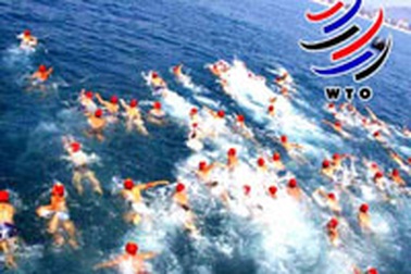 Chính thức ấn hành cẩm nang về WTO 