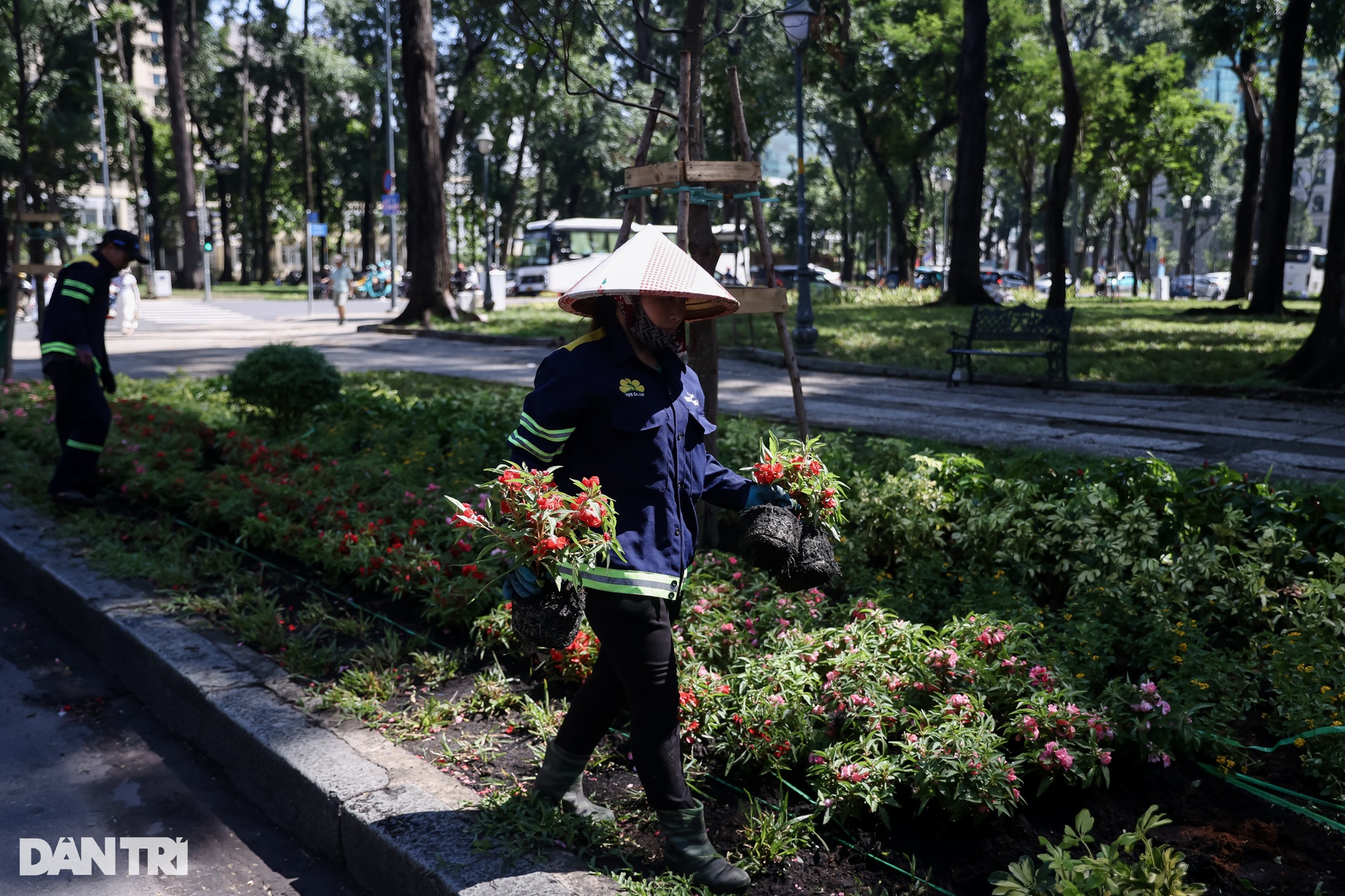 Hàng chục nhân viên cây xanh khẩn trương “khoác áo mới” cho công viên 30/4 - 7 Hàng chục nhân viên cây xanh khẩn trương “khoác áo mới” cho công viên 30/4 - 7
