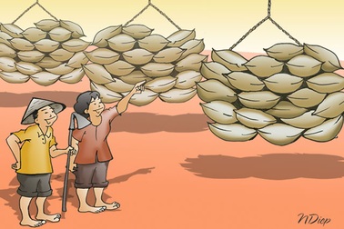 Kỳ tích gạo Việt!