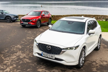 Loạt ô tô sẽ ra mắt Việt Nam trong tháng 7: Đa phần là xe gầm cao