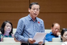 Đại biểu Quốc hội: "Khoáng sản là miếng mỡ ngon đặt trước miệng mèo"