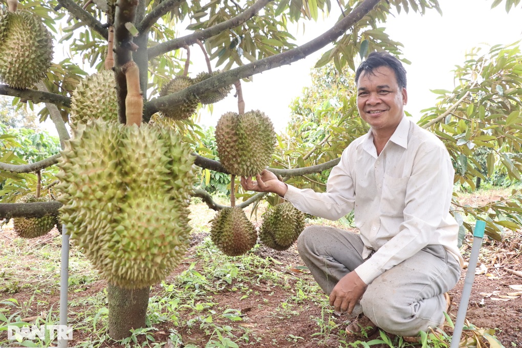 Phó Chủ tịch huyện làm giàu từ nông nghiệp, nặng lòng với văn hóa Êđê - 1