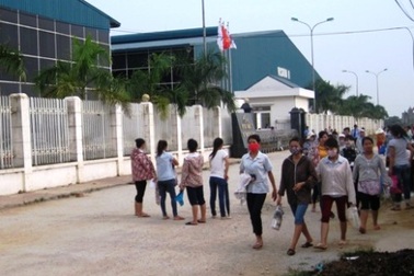 Hơn 1.000 công nhân đình công đã đi làm trở lại