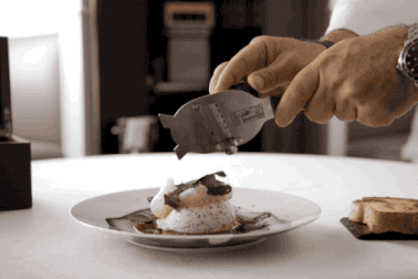 Du khách hào hứng đi săn "vàng đen", thuê cả chó chuyên dụng để tìm kiếm