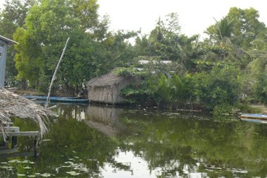 Bé trai 2 tuổi tử vong trong ao cá