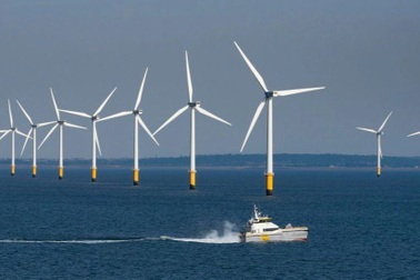 Đề xuất PVN, EVN thí điểm làm điện gió ngoài khơi: Chuyên gia nói gì?
