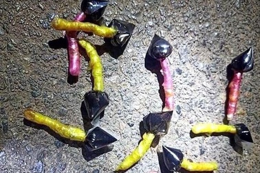 Công an cảnh báo hiểm họa chết người từ bả chó hình... kẹo mút