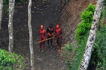 “Giật mình” với những bí ẩn trong khu rừng Amazon