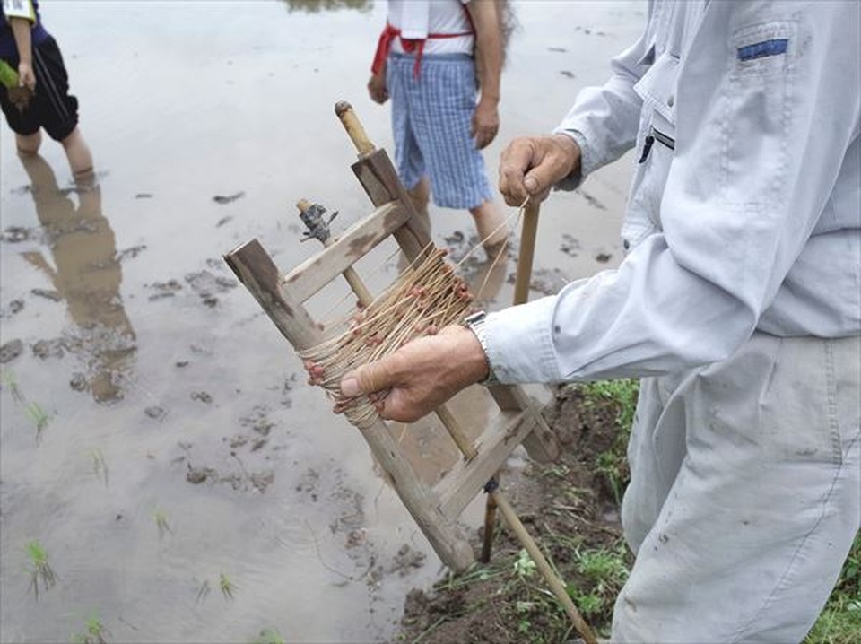 Trải nghiệm gieo mạ, trồng lúa kiểu Nhật tại ruộng bậc thang ở Beppu - 1 Trải nghiệm gieo mạ, trồng lúa kiểu Nhật tại ruộng bậc thang ở Beppu - 1