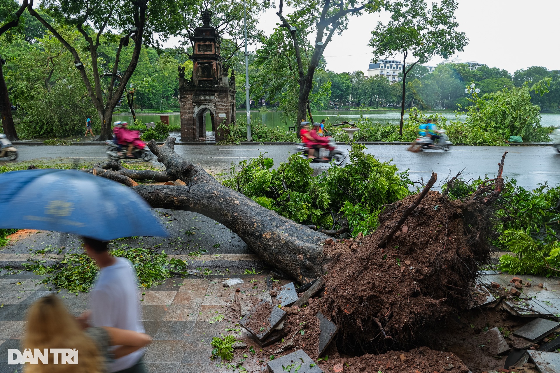 Hà Nội: Nhiều người ra đường ngổn ngang cảm xúc sau cơn bão tan - 1