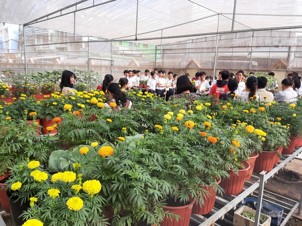 Học tập theo dự án STEM, Tết này em có hoa trưng Tết do chính mình trồng! - 1 Học tập theo dự án STEM, Tết này em có hoa trưng Tết do chính mình trồng! - 1