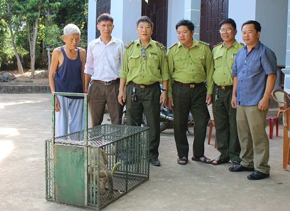 Người dân tự nguyện giao nộp khỉ vàng quý hiếm để thả về tự nhiên - 1 Người dân tự nguyện giao nộp khỉ vàng quý hiếm để thả về tự nhiên - 1