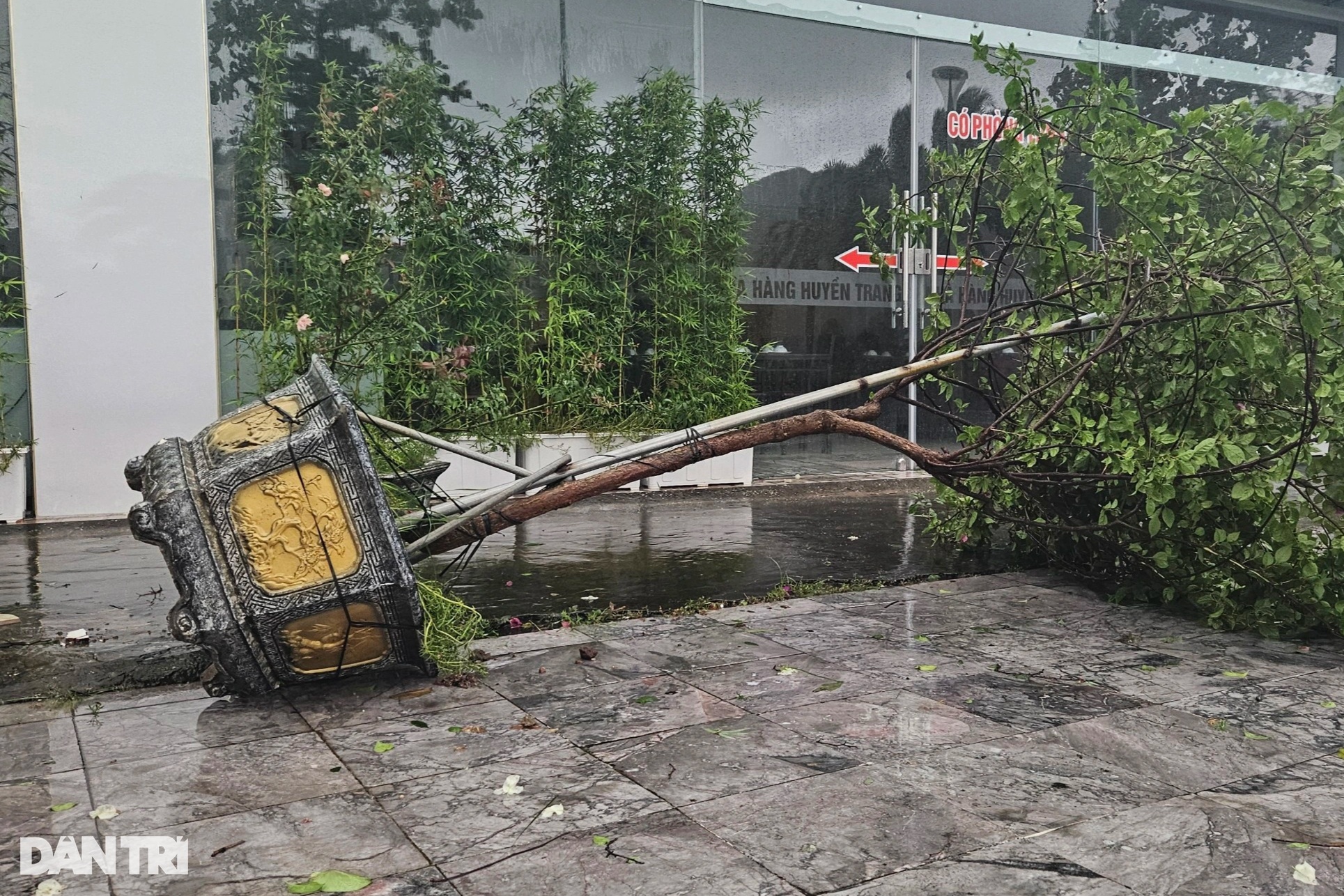 View - Bão quật đổ hàng loạt cây xanh ở Quảng Ninh | Báo Dân trí