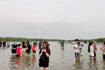 Hình ảnh thực tế ở "biển vô cực" Thái Bình khiến du khách thất vọng