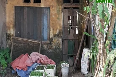 Khu tái định cư bỏ hoang, 31 hộ dân bị “treo” trong vùng lõi di tích