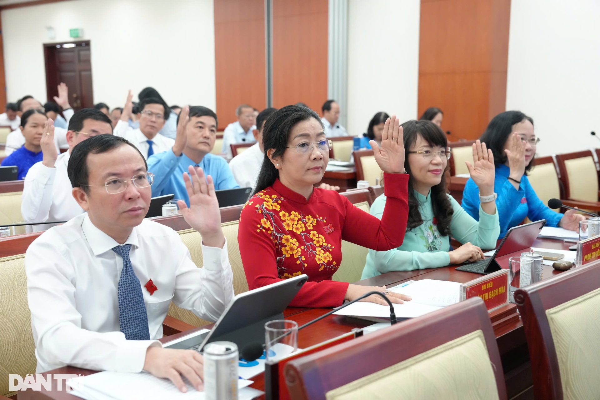 Kỳ họp lịch sử của HĐND TPHCM trước ngày hợp nhất tỉnh, thành - 4