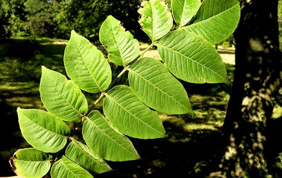 Tại sao tôi thường xuyên bị đi ngoài sau ăn sáng? - 3 Tại sao tôi thường xuyên bị đi ngoài sau ăn sáng? - 3