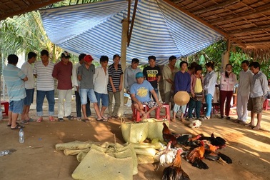 Triệt phá trường gà, thu giữ trên 100 triệu đồng