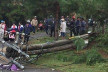 Cột điện gãy đổ khiến 1 giáo viên tử vong, 2 cháu bé nguy kịch