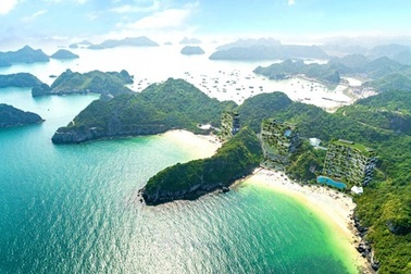 Công khai kết luận thanh tra tổ hợp nghỉ dưỡng Flamingo Cát Bà Beach Resort