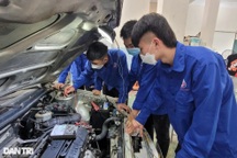 Trường nghề phải mở thêm nhiều ngành mới đáp ứng nhu cầu thị trường