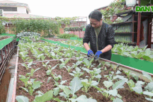 Ông bố ở Hà Nội chi 200 triệu đồng mang 10 tấn đất làm vườn sân thượng