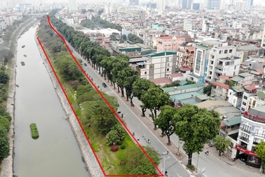 Hà Nội: Toàn cảnh hàng cây xanh trên đường Láng trước ngày chặt hạ