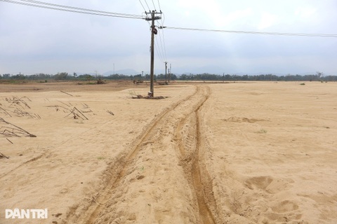Đồng ruộng như sa mạc, cát phủ dày cả mét sau lũ