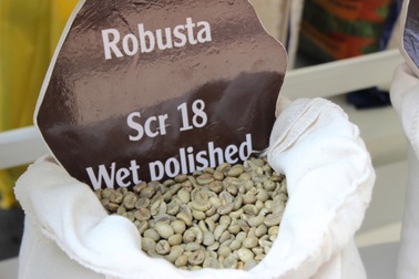 Giá nông sản hôm nay 5/9: Robusta tăng mạnh, ớt hiểm đỏ tiêu thụ nhanh