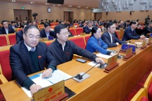 Hà Nội xây cầu Tứ Liên, Trần Hưng Đạo trong năm 2025