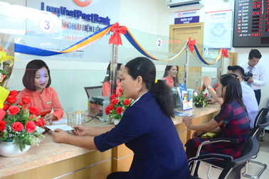 Câu chuyện về người nông dân làm giàu từ loại “rau hoàng đế”