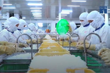 Thiếu hụt lao động - tình trạng báo động tại TPHCM