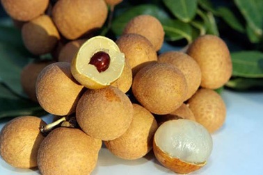 Về xứ Đông ăn rươi An Định, ăn bánh “tam vương”!