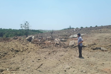 2 cây “quái thú” bị làm giả giấy tờ để đối phó?