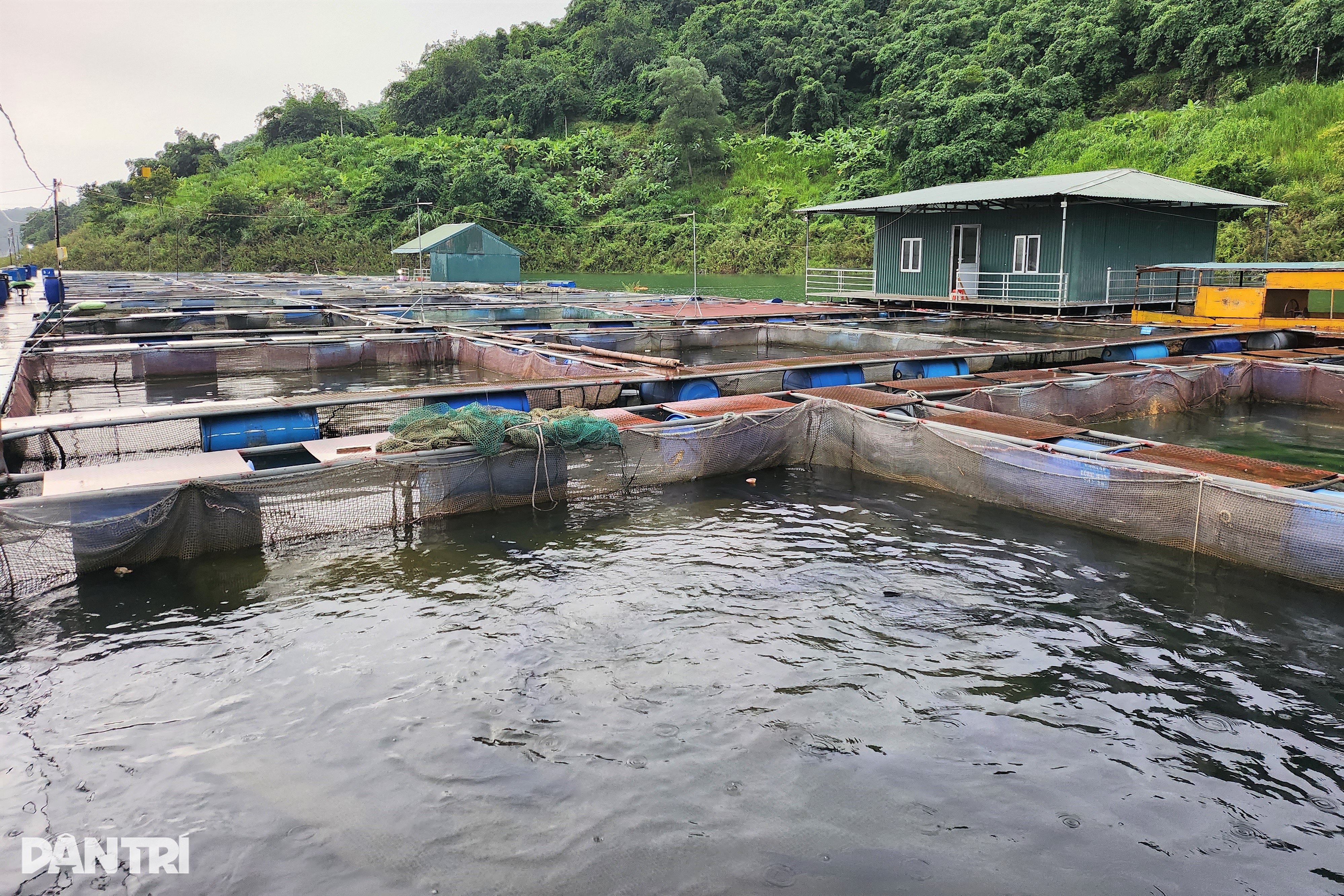 រស់រសាត់កណ្តាលបឹងវារីអគ្គិសនី - ៤ Sống lênh đênh giữa lòng hồ thủy điện - 4