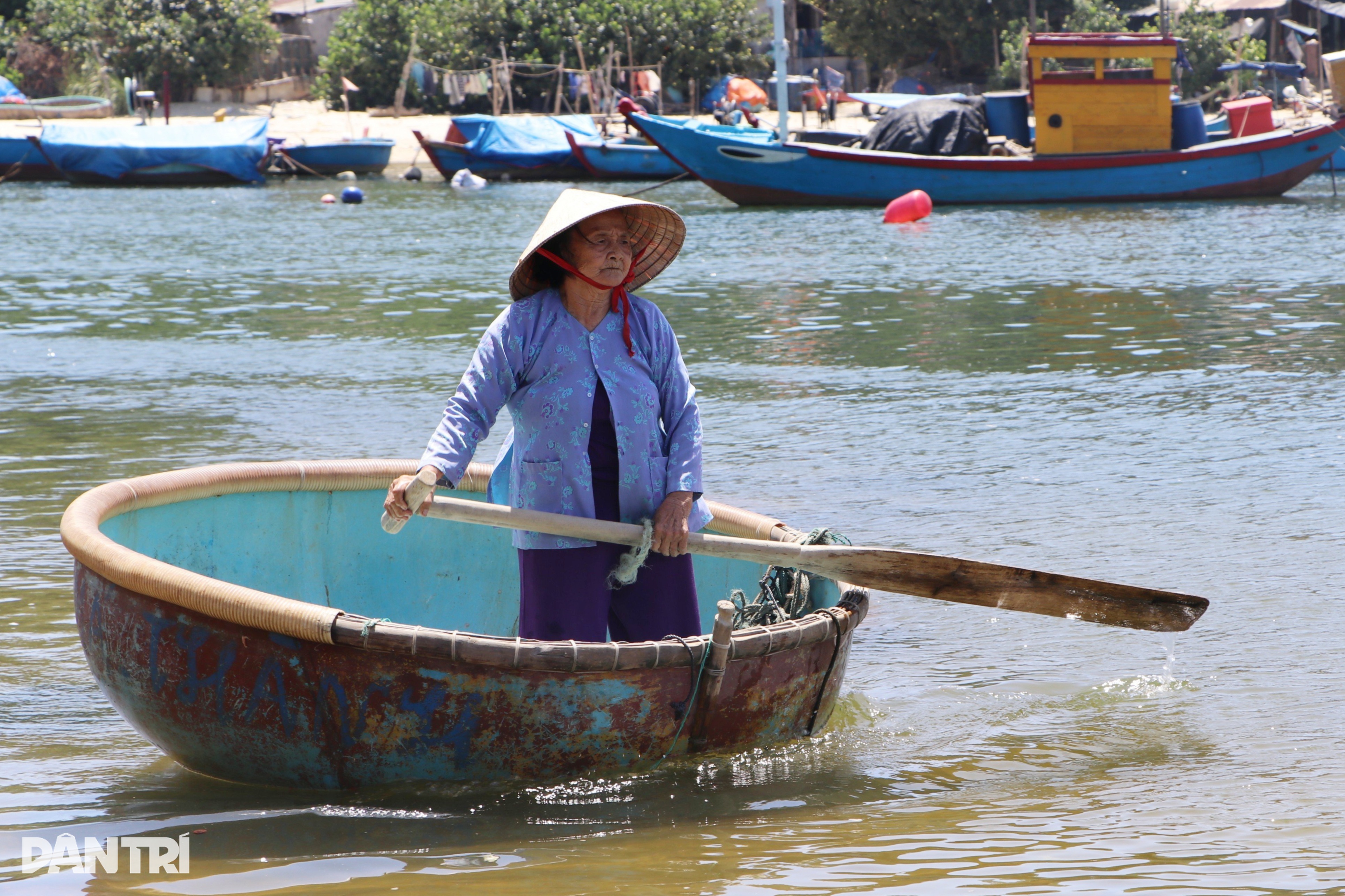 Bà lão cưu mang đàn khỉ quý hiếm nơi cửa sông - 2 Bà lão cưu mang đàn khỉ quý hiếm nơi cửa sông - 2